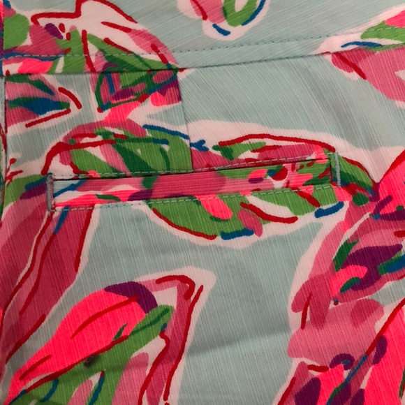 Lilly Pulitzer Shorts - Picture 5 of 8